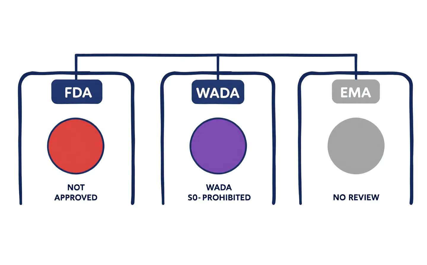 Educational-Swiss regulatory status diagram showing BPC-157's status with the FDA (not approved, red), WADA (S0 prohibited, purple), and EMA (no review, gray)